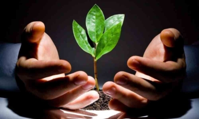 برنامه‌ی اصلاح رفتار و بازتوانی